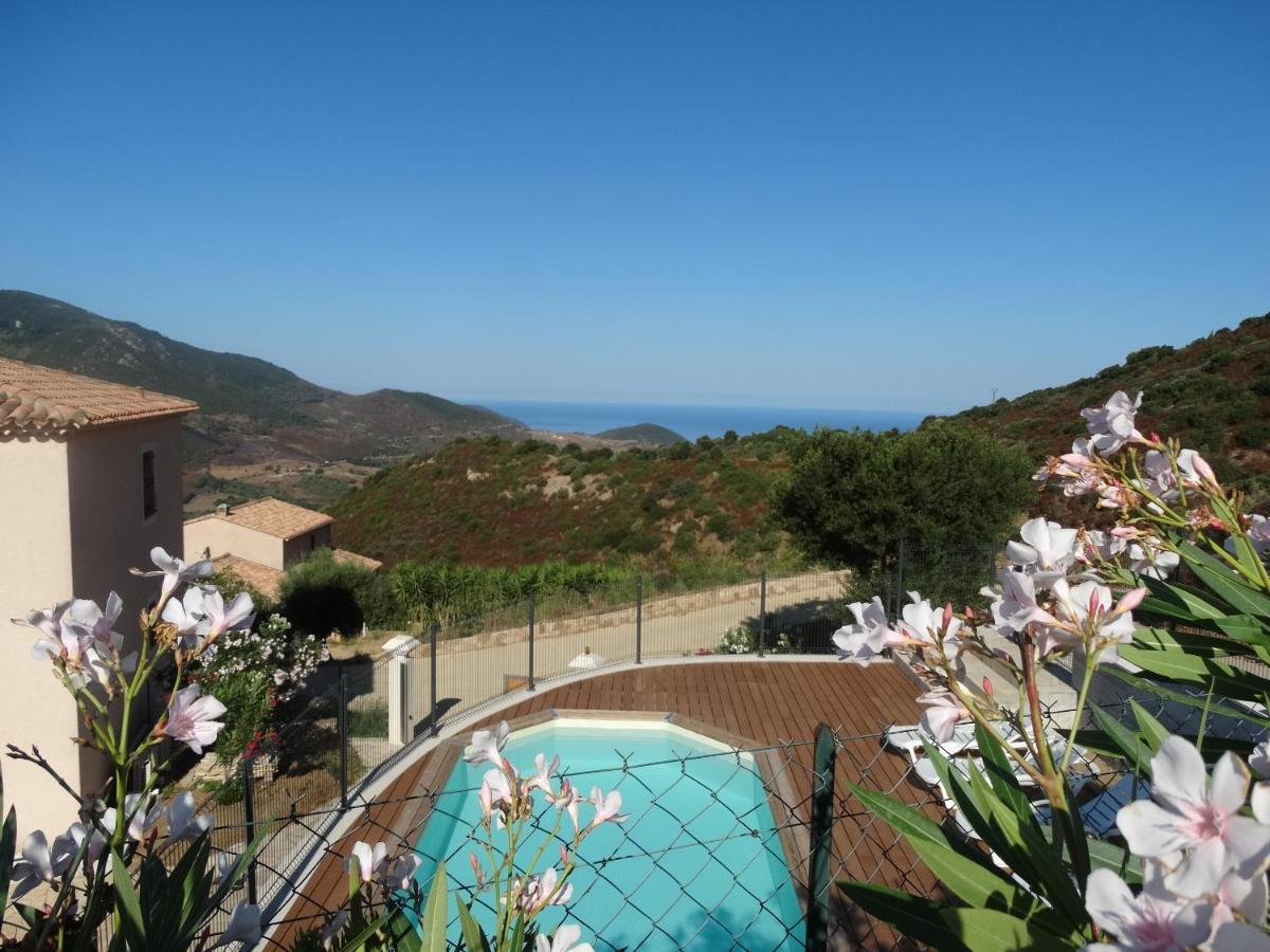Gites Sassone, Vue Panoramique Sur Ajaccio Et La Mer Alata Exteriör bild