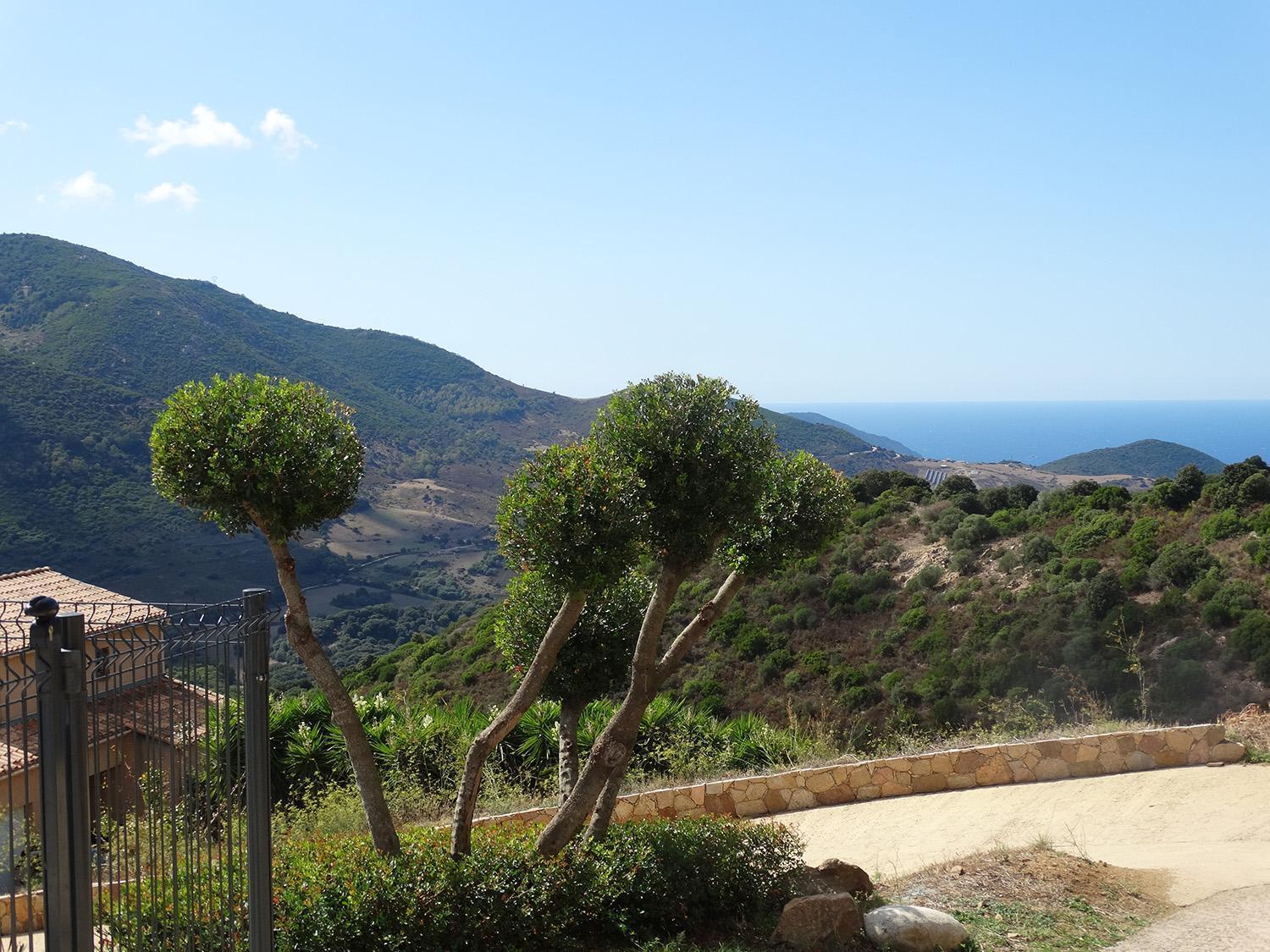 Gites Sassone, Vue Panoramique Sur Ajaccio Et La Mer Alata Exteriör bild